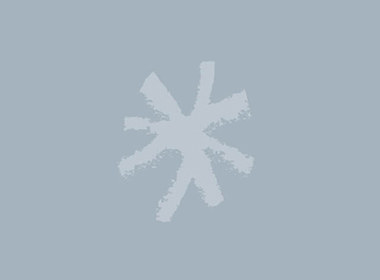 Excepteur sint occaecat cupidatat non proident