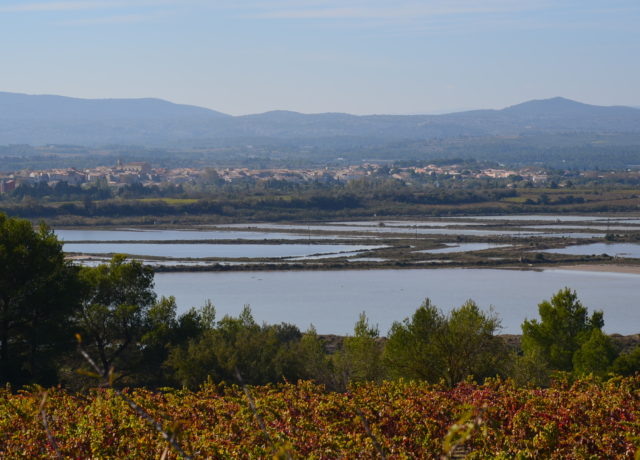 Paysage Sigean - Crédit PNRNM