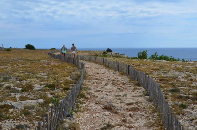 Plateau de Leucate