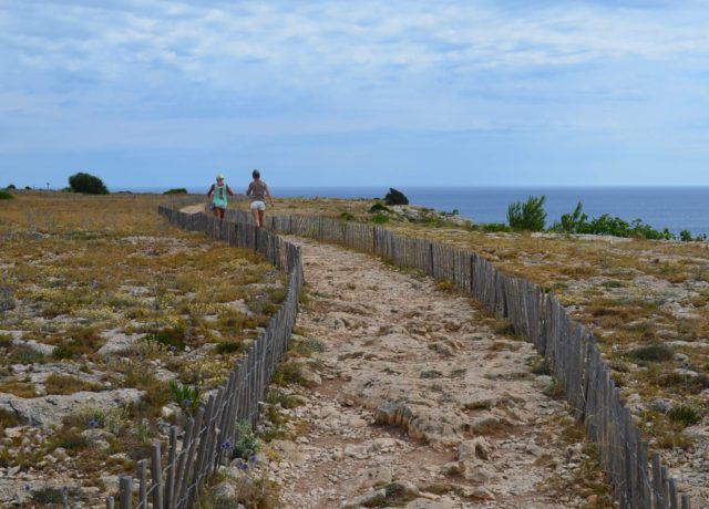 Plateau de Leucate