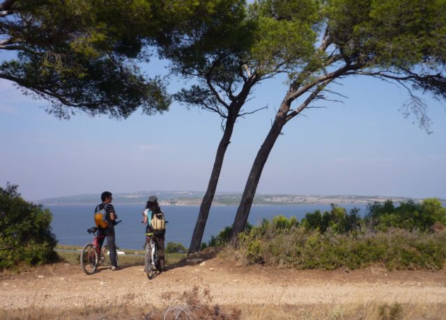 VTT Ile Sainte-Lucie