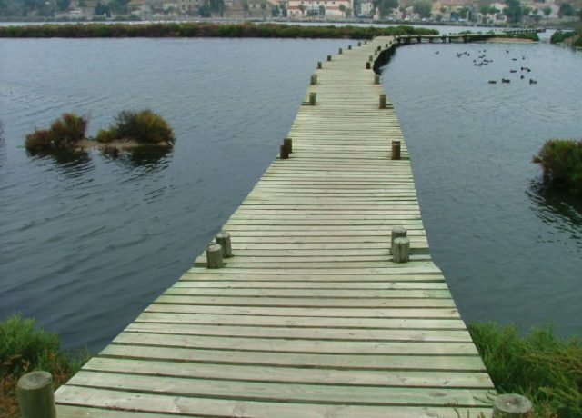 Chemin de planche Peyriac ©PNRNM