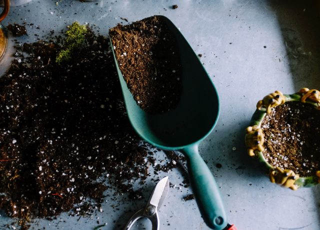 compost_neslihan-gunaydin-unsplash